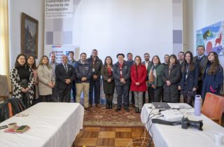 CONSTITUYEN COMISIÓN REGIONAL DE EQUIDAD Y APS UNIVERSAL